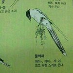 <b>후면</b>카메라가 더 잘나오는 경우는 뭐임