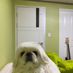 피어싱이랑 타투있는데 질문받음