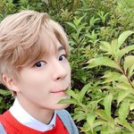 [NCT즌] 이제노 이거 포카로 나왔으면