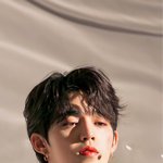 [세븐틴] 잘생긴걸로 친구 영업할때 쓰는 사진<b>풀자</b>