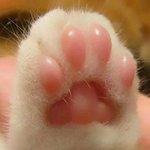 여기서 진짜 나만 <b>통통</b>한거같음