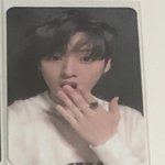 [스키즈] 아기믾프한테 포카 <b>시세</b>좀 알려줄사람...ㅠㅠ