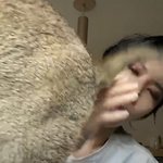[NCT즌] 꼬리에 치인 텐 <b>치타</b>폰