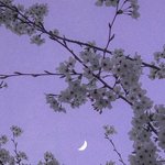 [댓글부탁해] 애들아 어퓨 과즙팡틴트랑 롬앤 <b>쥬시</b>래스팅중에