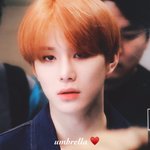 [NCT즌] <b>정정</b>