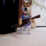 복부 <b>복근운동</b> 해본애들 들어와바