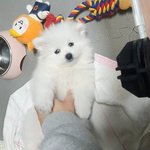 <b>대신</b> 만져드립니다