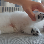 <b>발가락</b> 꼬순내 맡고 싶어지는 영상