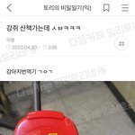 각 학교마다 대학 <b>진학</b>률 볼 수 있는 사이트 뭐였지