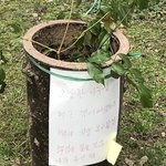 야 다 들어와봐 나 오늘 ㅈㄴ 웃긴거봄