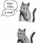 [진격의거인] ㅅㅍ오늘 이러면서 봄
