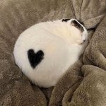 [방탄소년단] <b>이</b>삐들이 제일 좋아하는 <b>무대</b>가 뭐야?
