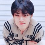 [세븐틴] 애들아 <b>앙큼</b>한 김민규 보고 가