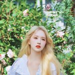 [모두드루와] 트와이스 <b>미나</b>랑 사나 있잖아