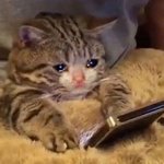 [방탄소년단] 얘들아 사랑해