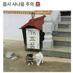 <b>토론</b>하고싶은주제 2개만 추천해줘