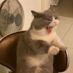 얘들아 나 곧 <b>동아리</b> <b>면접</b>가는데
