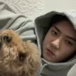 오세훈 <b>기여</b>운놈
