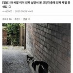 [19] <b>신재은</b>이 머하는사람임?