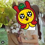 <b>셀프</b>웨딩사진 찍을만한 곳 추천 부탁드려요