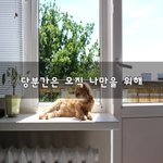 [이것좀봐줘] 당분간은 <b>오직</b> 나만을 위해~