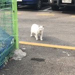 [드루와] 야 춘<b>배랑</b> 영철이봄