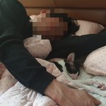 아빠가 너무 좋은 냥이 별이