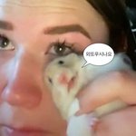 [댓글부탁해] <b>에스크로</b> 욕하는 애들 심리가 뭐임?
