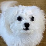 [NCT즌] 솜사탕 한입 <b>베어</b>문거같다..