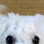 [NCT즌] 오빠한테 <b>일러</b> 대갈아