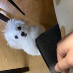 천러의 <b>만행</b>...