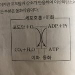 생명 ㅈㅂ 쉬운거 알려줄 사람