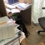 [TXT] ㅅㄷ 내 방보다 더러운 사람있으면 <b>사탕</b>줄게