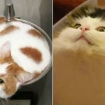 [<b>저점</b>코인] 저평가된종목을 <b>저점</b>에서 사야 마음이 편하군요