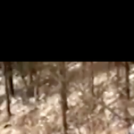 [NCT즌] 아 미치겠다 샤오쥔 넘어짐