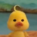 [19] 근데 연고대버리고 교원대가는게말이되나