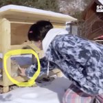 [NCT즌] 토끼한테 하이<b>파이브</b> 하자는 텐...