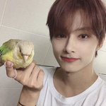 [세븐틴] 타돌 언급 ㅈㅅ..나 얘 둘 너무 닮아보임..