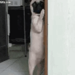 [방탄소년단] 아 방달 답답해 주글뻔