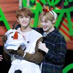 [NCT즌] 이거 홈<b>마사</b>진임?