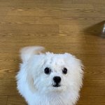 아이돌은 뭘해도 이쁨받는 거 ㄹㅇㅋㅋ