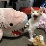 엄마가 빨래<b>비누</b> 줬다는 앤데 너무 속상하다