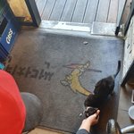 [고양이] 10탄 로또 당첨이 동생  대박이