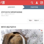 [댓글부탁해] 나 <b>판</b>하면서 <b>조카</b> 웃겼던거