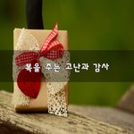 복을 주는 고난과 감사~