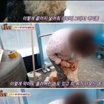 <b>펫샵</b> 소비를 하지 말아야하는 이유