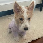 <b>행크</b>나 봐라