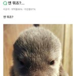 엥이거좀 <b>심각</b>하다