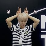 [NCT즌] 근데 나 진짜 궁금한거 있음