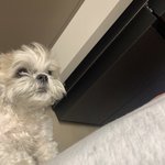 [더보이즈] 오늘 다<b>롱이</b>가 재현이한테 온날이래